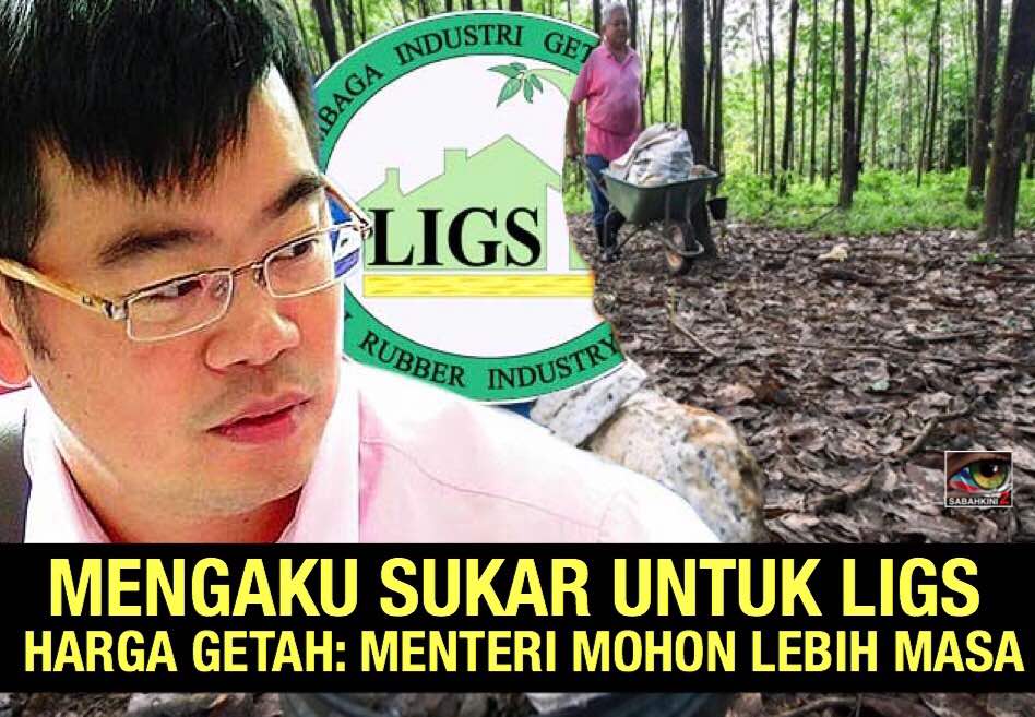 Selepas gagal naikkan harga getah Menteri merayu mohon lebih masa