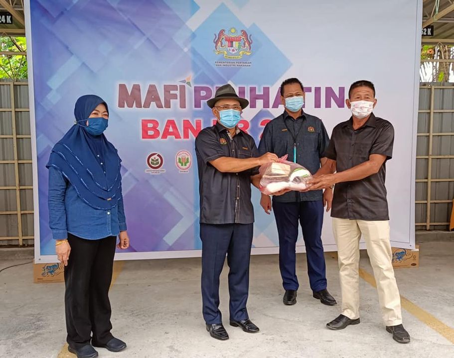 MAFI perkasa konsep penanaman padi berskala besar - Kiandee