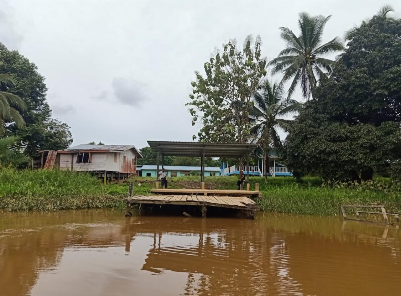 Mayat wanita diserang buaya ditemui