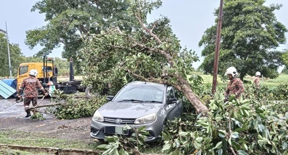 Pokok tumbang menghempap sebuah kereta